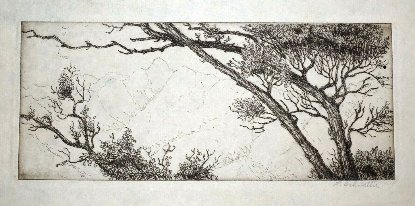 1940s Hawaii California Etching Print Trees & Mountains by L. Schwallie (Kel)