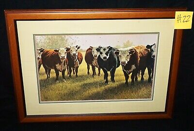 '93 Colorado Koa Framed Print 121/950 "Pasture Patrol" by Lee Cable (b1943)(***)