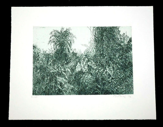 1972 US Abstract Etching Print Jungle Thicket by Gabor Peterdi (1915-2001)(***)