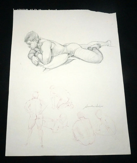 Hawaii Graphite/Color Pencil Drawing Reclining Male Nude Snowden Hodges (Sho)#7