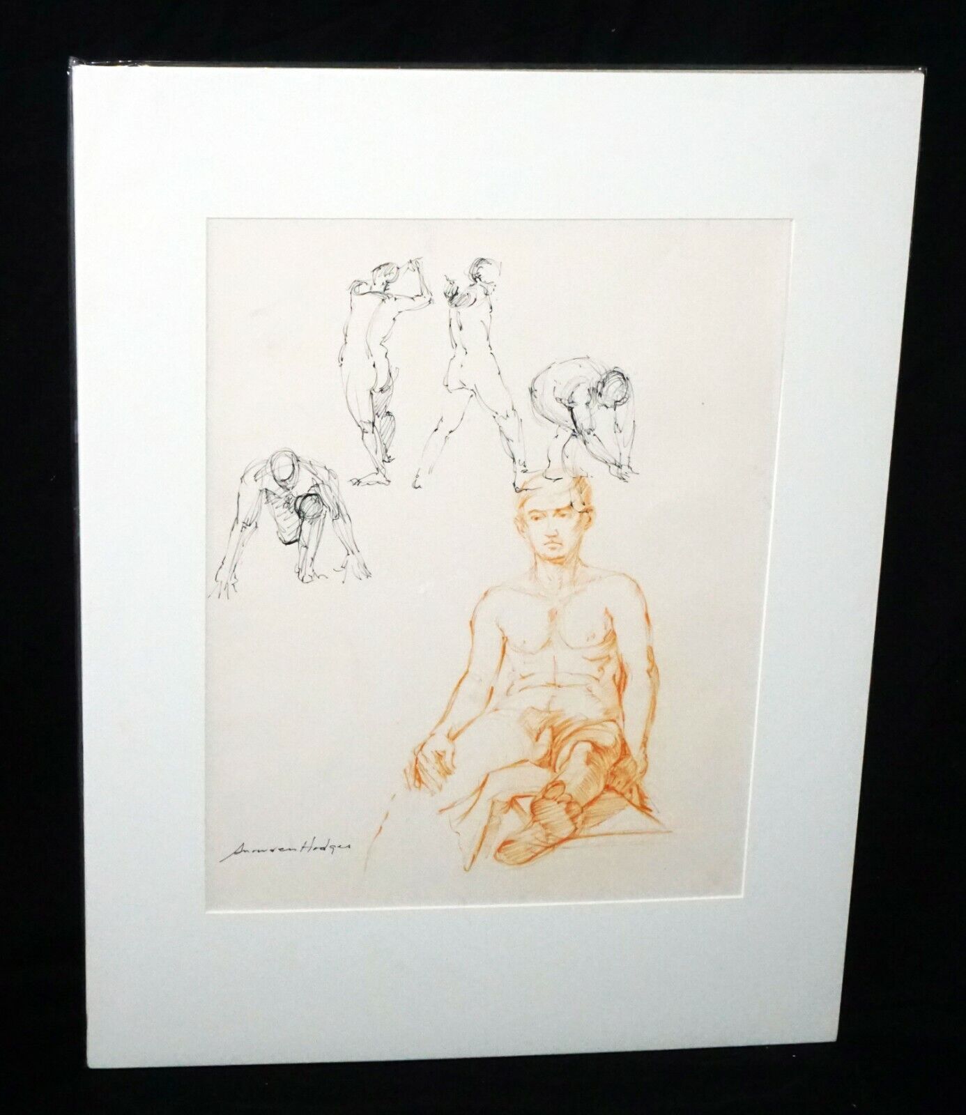 Hawaii Pen & Ink Drawing Painting Male Nude by Snowden Hodges (Sho)