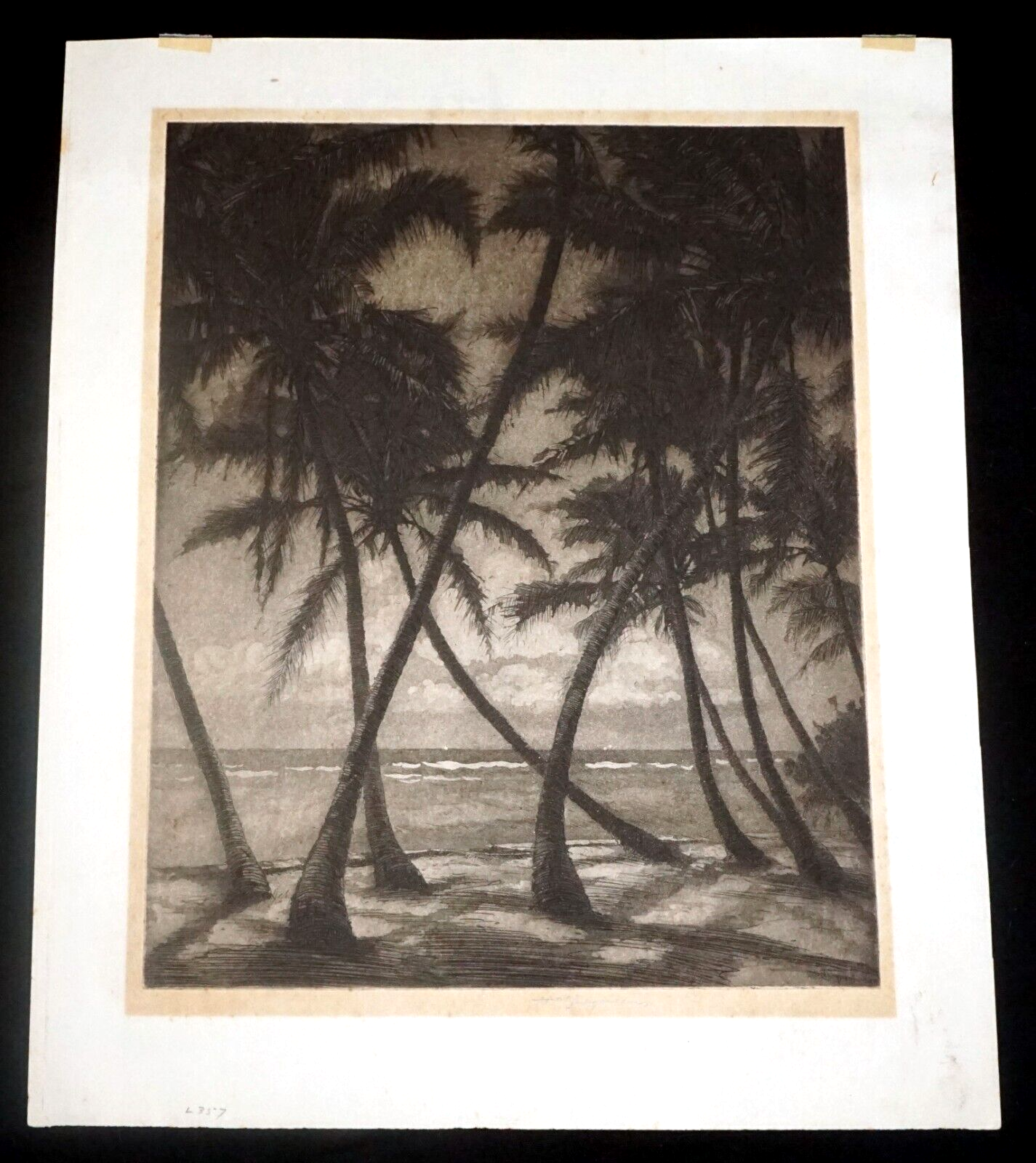 1930s Hawaii Aquatint Print Moonlit Waikiki Palms by Huc M. Luquiens (LLA)