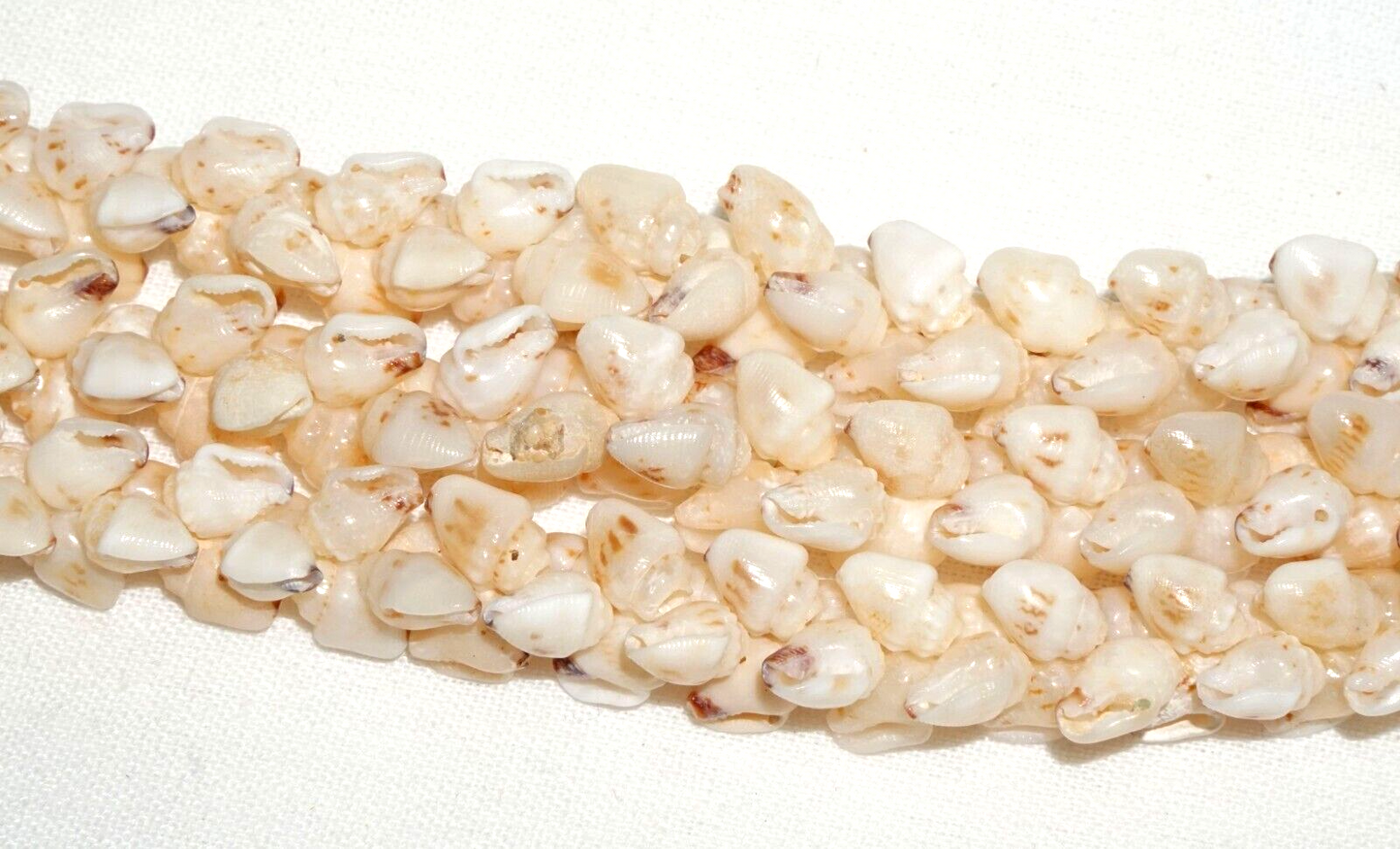 Vintage Hawaii 3x Strand Pikake Style Spotted White Niihau Shell Necklace (KiA)C