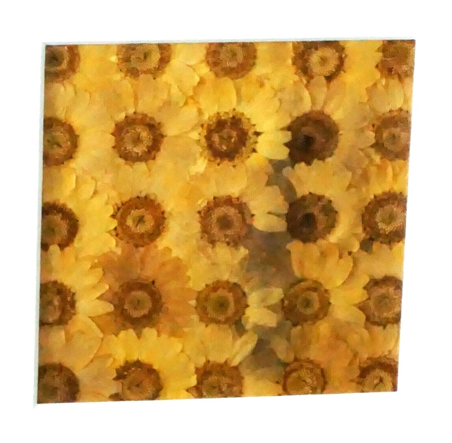 Vintage Framed Dried Pressed Yellow Flower Collage by Julie Anne (KrT)