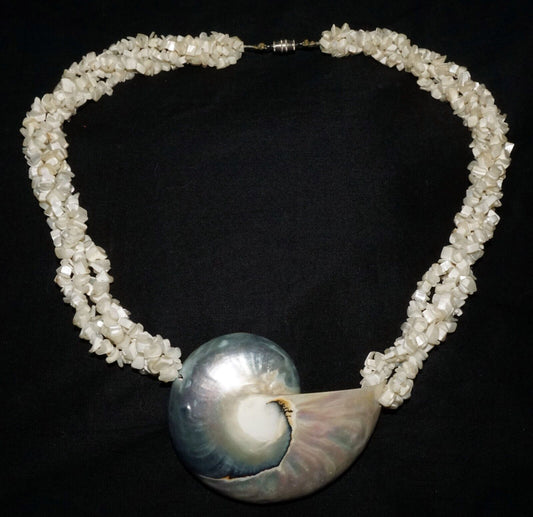 Vintage Shell Bead Necklace & Attractive Shell Pendant w. Screw Clasp (ShI)