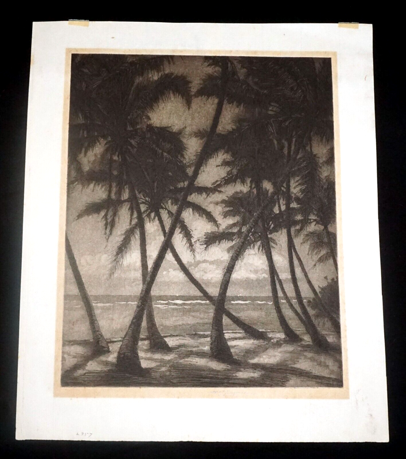 1930s Hawaii Aquatint Print Moonlit Waikiki Palms by Huc M. Luquiens (LLA)