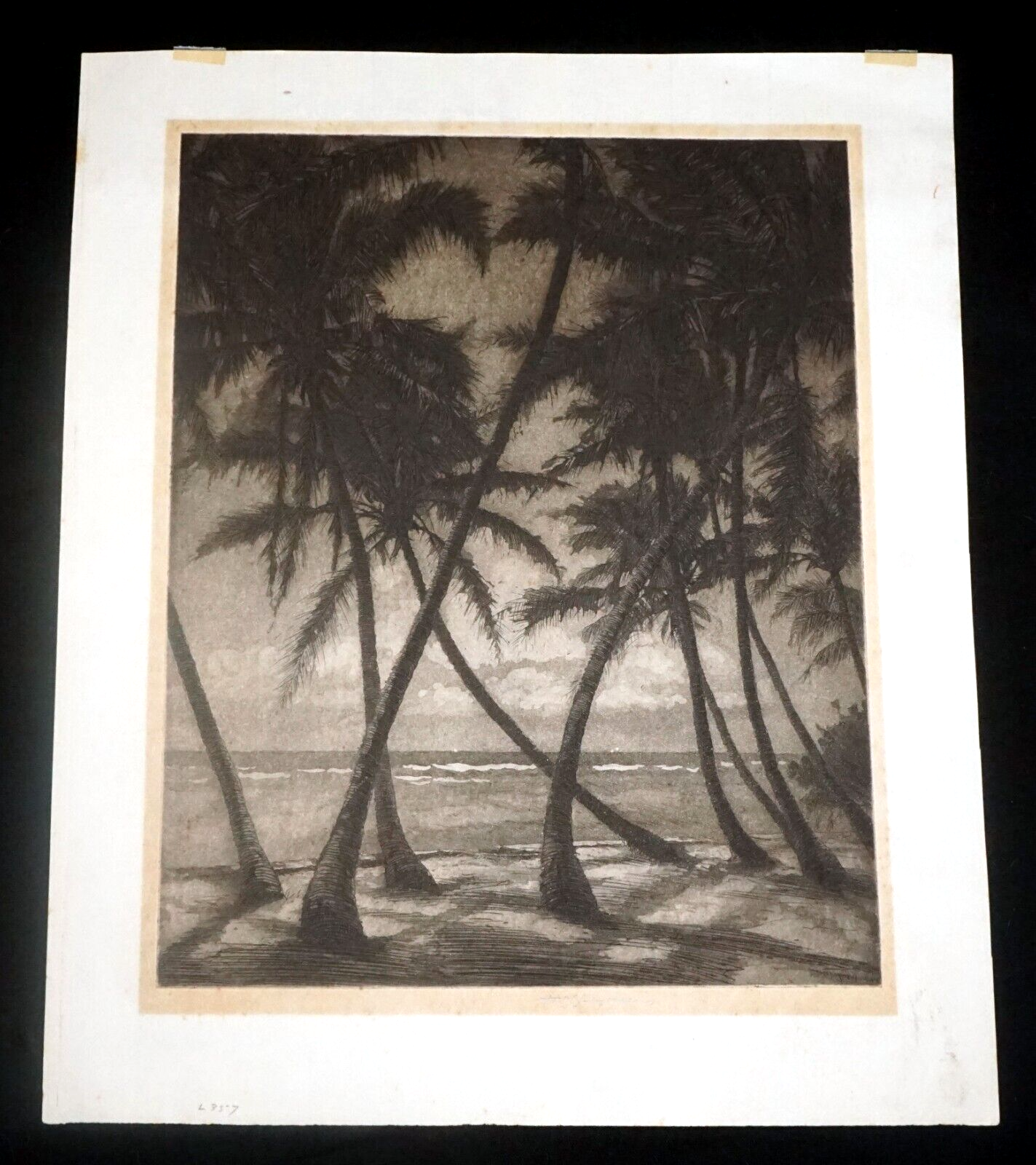 1930s Hawaii Aquatint Print Moonlit Waikiki Palms by Huc M. Luquiens (LLA)