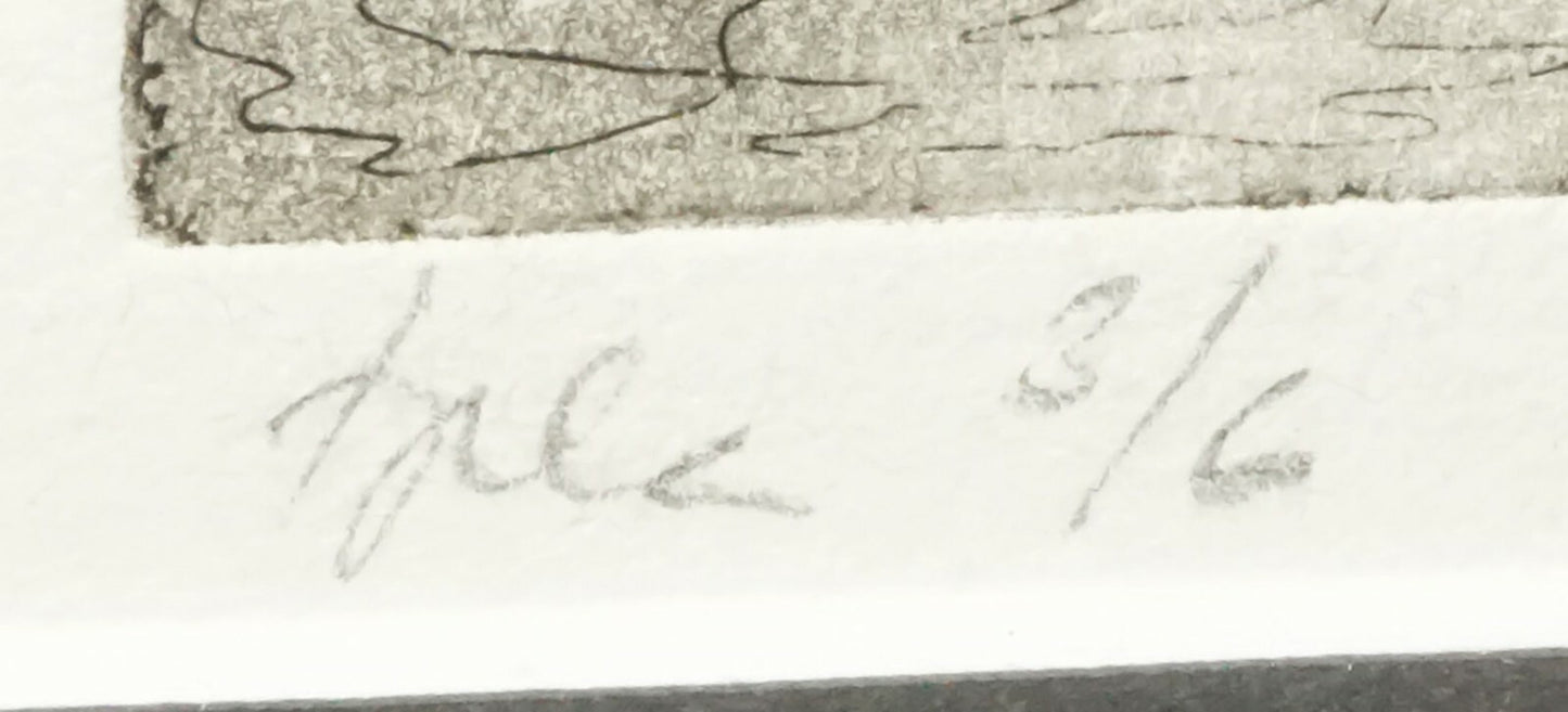 1993 US Framed Aquatint Print 3/6 "Thick Pine Forest"  by illegible signed (CWo)