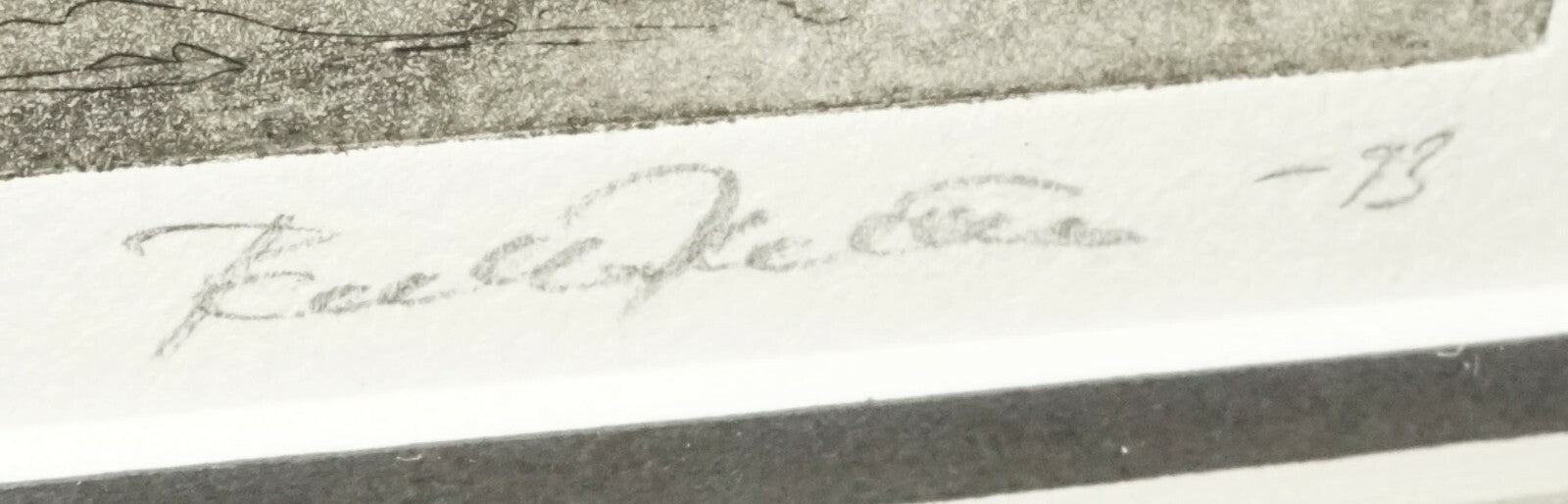 1993 US Framed Aquatint Print 3/6 "Thick Pine Forest"  by illegible signed (CWo)