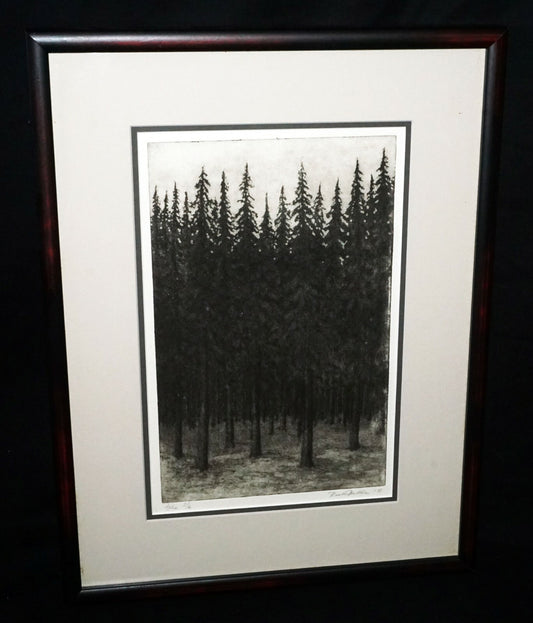 1993 US Framed Aquatint Print 3/6 "Thick Pine Forest"  by illegible signed (CWo)