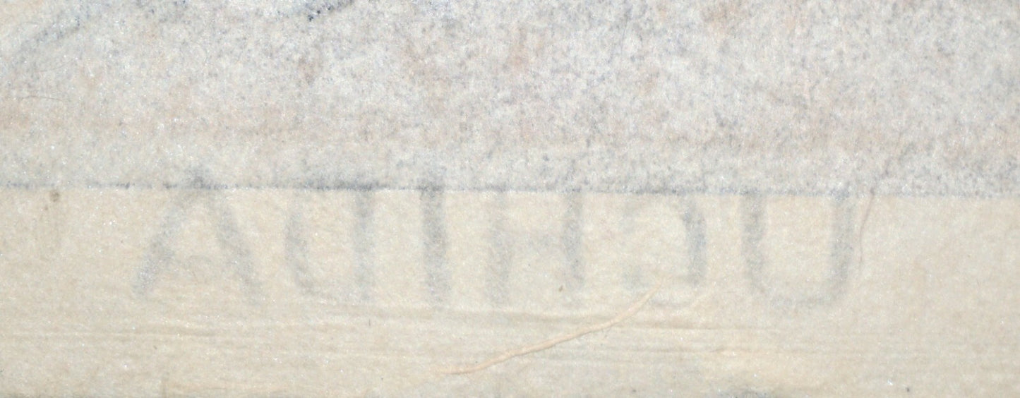 50s Japanese Woodblock Print Cryptomeria Trees in Nikko  Kotozuka Eiichi (MoP)