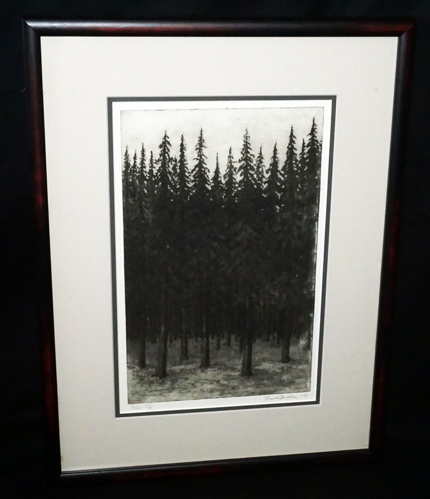 1993 US Framed Aquatint Print 3/6 "Thick Pine Forest"  by illegible signed (CWo)