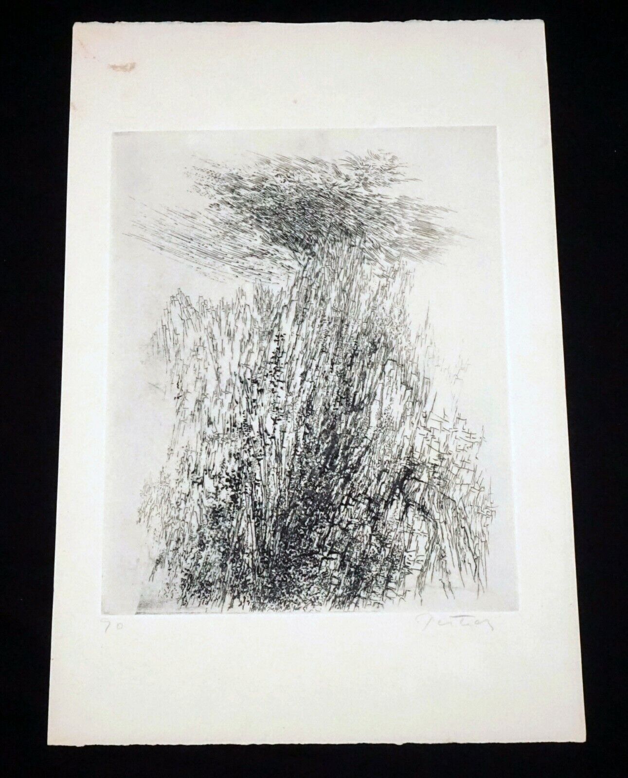 1970s US Abstract Etching Print "Yosemite" by Gabor Peterdi (1915-2001)(***)