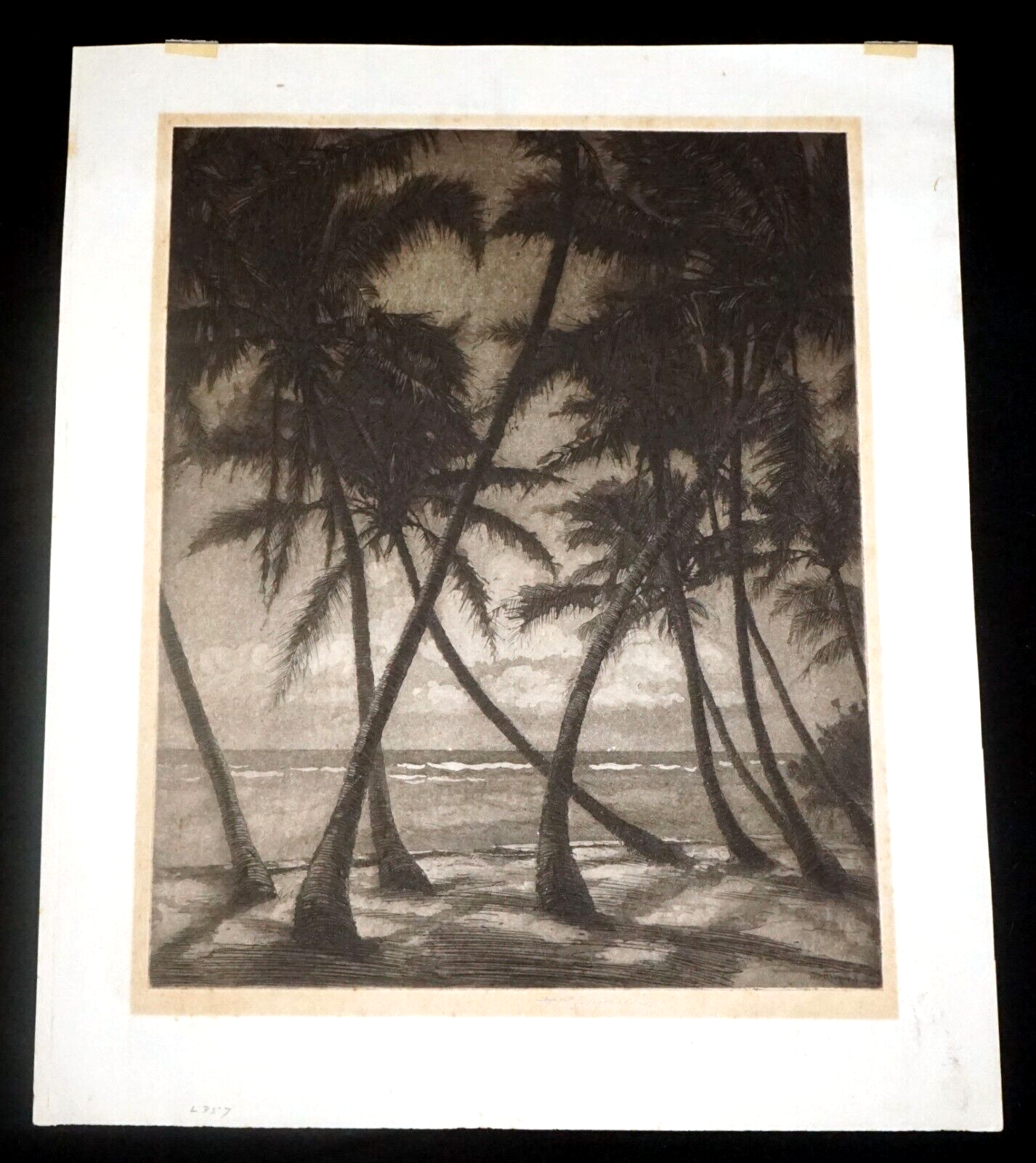 1930s Hawaii Aquatint Print Moonlit Waikiki Palms by Huc M. Luquiens (LLA)