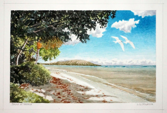 Hawaii Watercolor Painting "Fairy Terns over Kahala Beach" by Larry Segedin #55