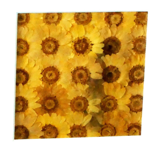 Vintage Framed Dried Pressed Yellow Flower Collage by Julie Anne (KrT)