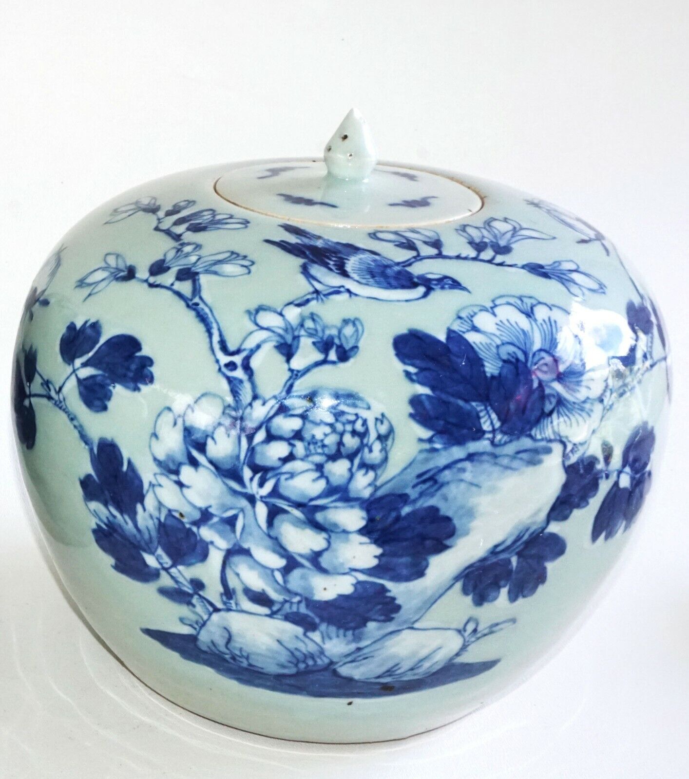 1900 Chinese Ginger Jar w. Blue & White Birds on Flowering Branches Motif (AHB)