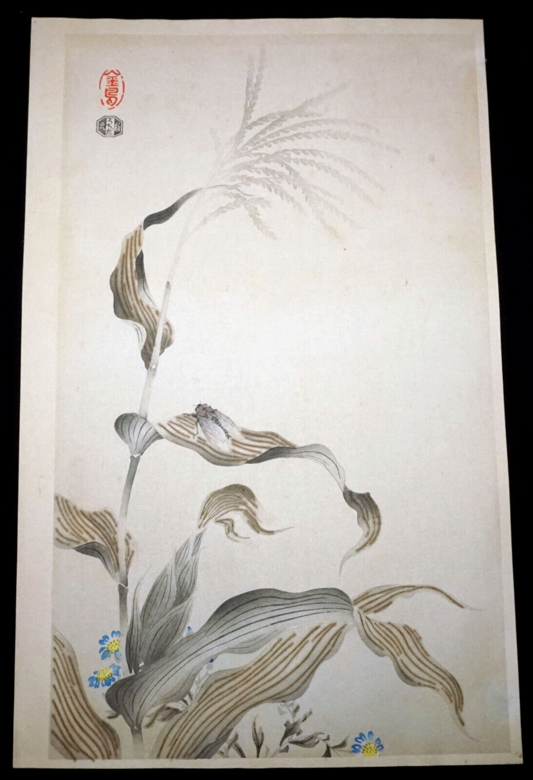 '51 Japanese Woodblock Print JarFly on Corn in Autumn by Kin-u Takeshita (KiL)42