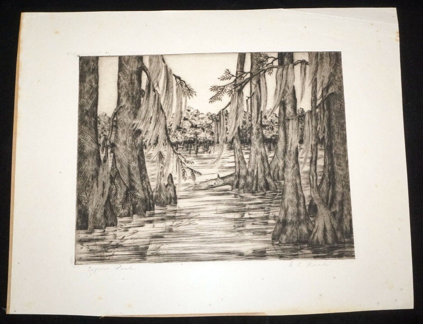 1940s US Florida Etching Print "Cypress Pond" by A.L. Woods (Kel)