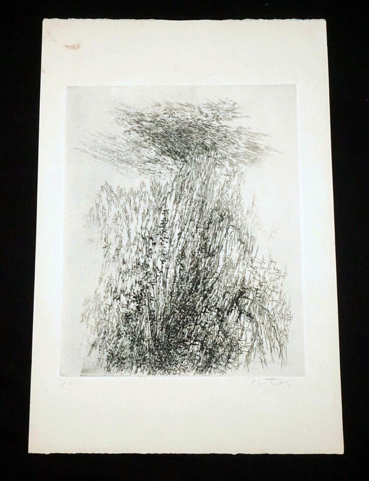 1970s US Abstract Etching Print "Yosemite" by Gabor Peterdi (1915-2001)(***)