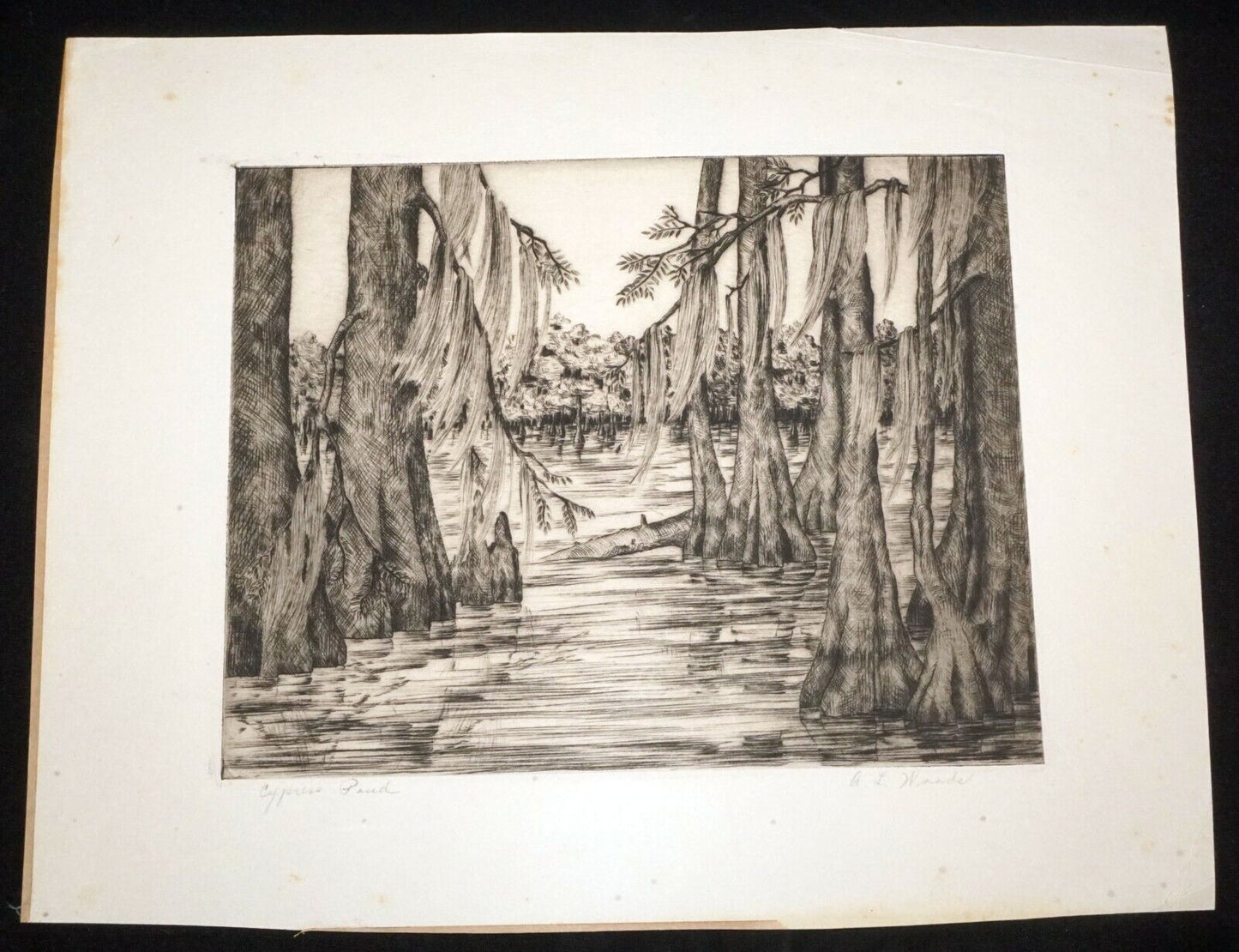 1940s US Florida Etching Print "Cypress Pond" by A.L. Woods (Kel)