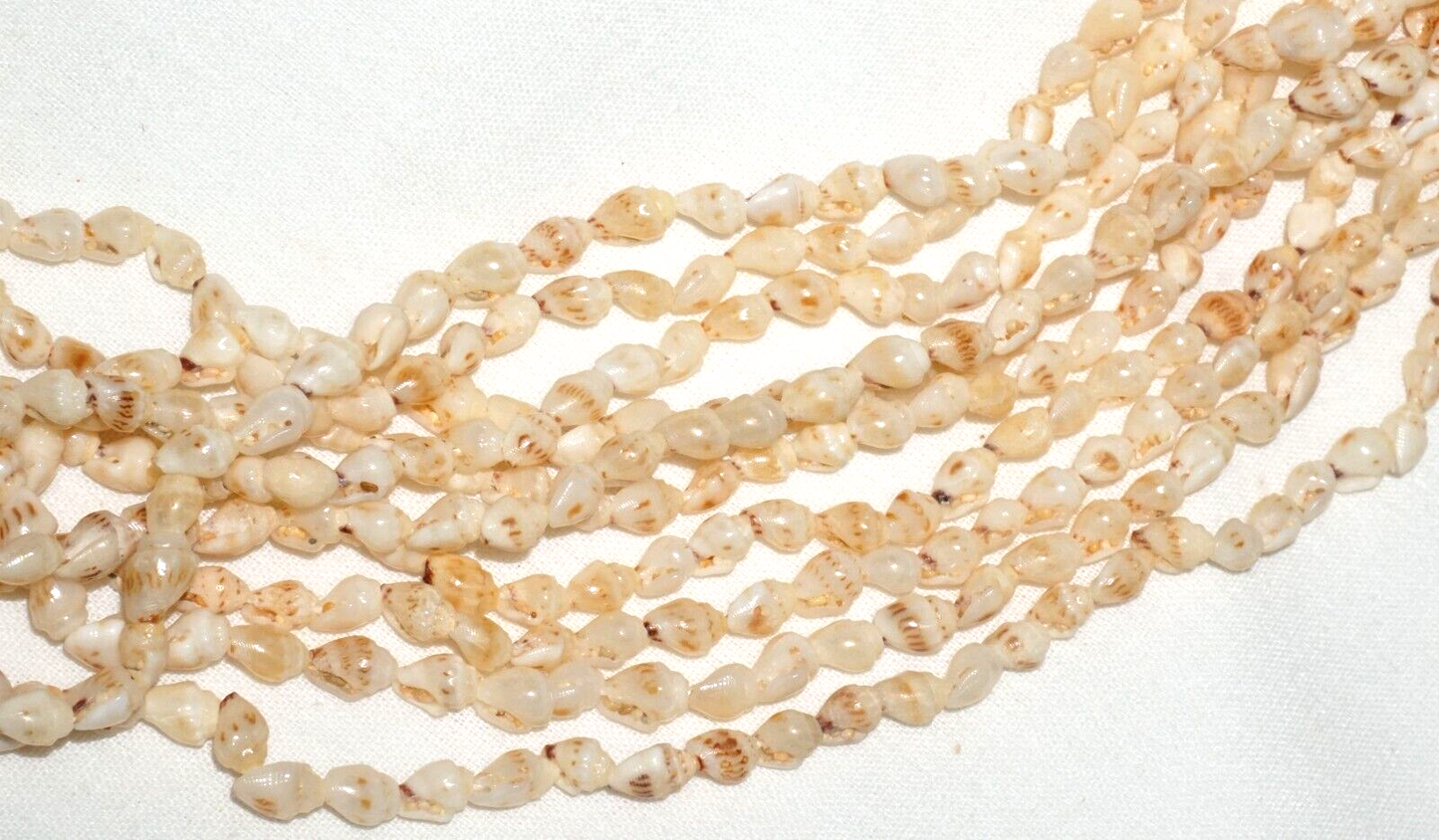 Vintage Hawaii 10x Single Strand Niihau Shell Necklace w. Cowry Clasp (KiA)D