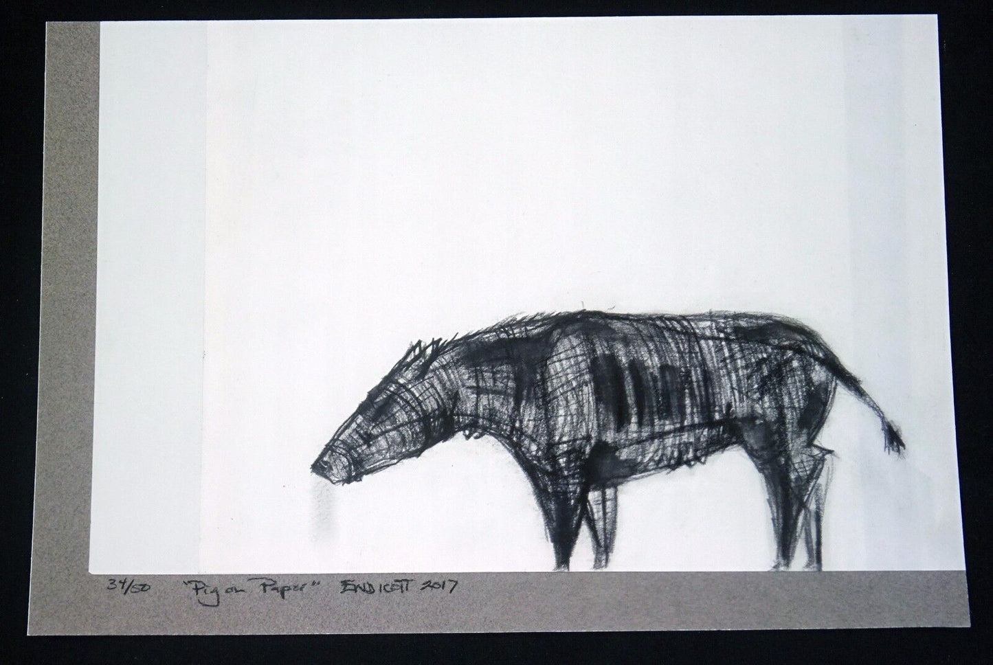 2017 Hawaii Print 34/50 "Pig on Paper" by Jodi Endicott (b1958) (Ahb)