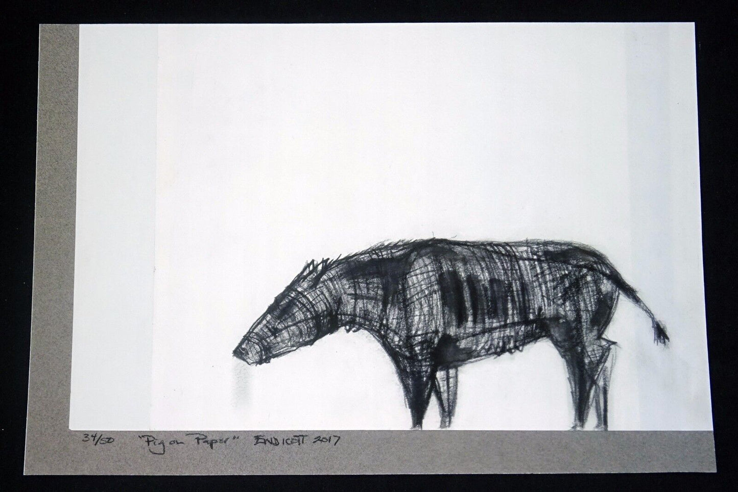 2017 Hawaii Print 34/50 "Pig on Paper" by Jodi Endicott (b1958) (Ahb)