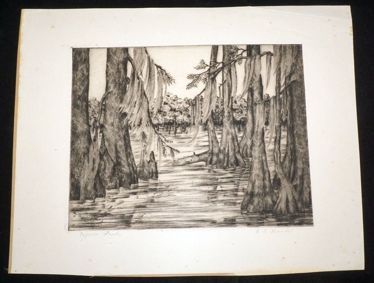 1940s US Florida Etching Print "Cypress Pond" by A.L. Woods (Kel)