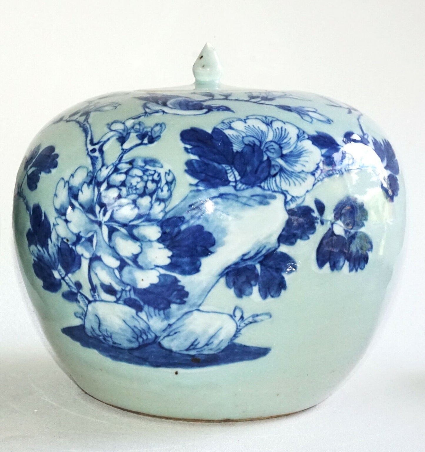 1900 Chinese Ginger Jar w. Blue & White Birds on Flowering Branches Motif (AHB)