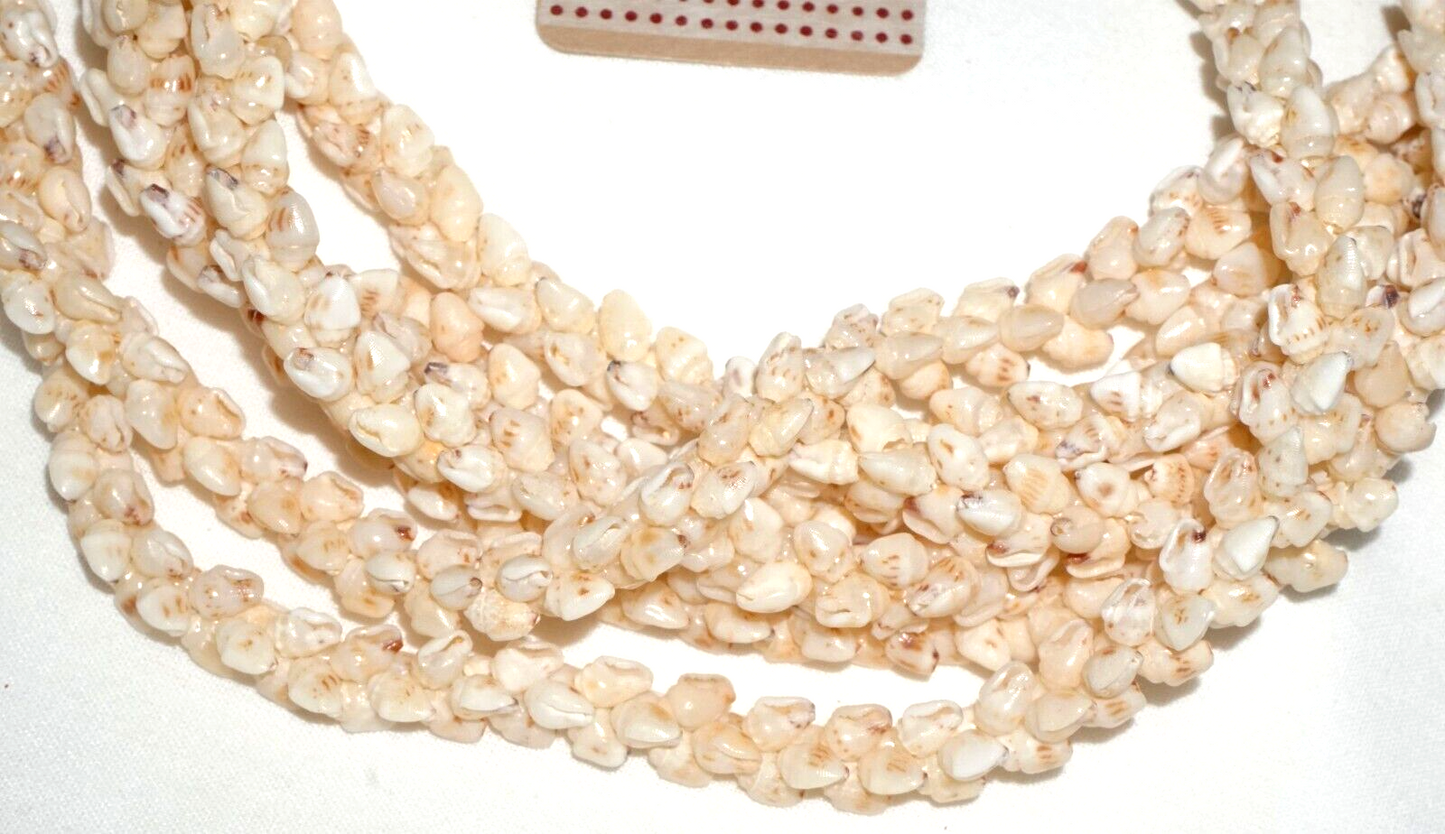 Vintage Hawaii 3x Strand Pikake Style Spotted White Niihau Shell Necklace (KiA)C