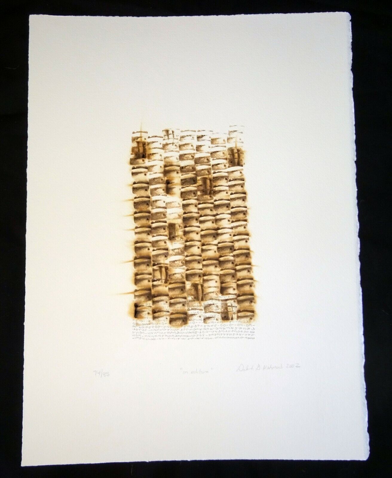 02 Hawaii Pyrography Abstract Print 74/85 by Deborah Gottheil Nehmad (AHB)