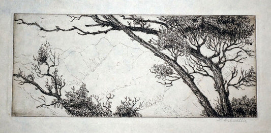 1940s Hawaii California Etching Print Trees & Mountains by L. Schwallie (Kel)