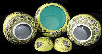 3PC Chinese Grisaille Decorated Yellow Ground Dayazhai Jars & Bowl (Geo) IC