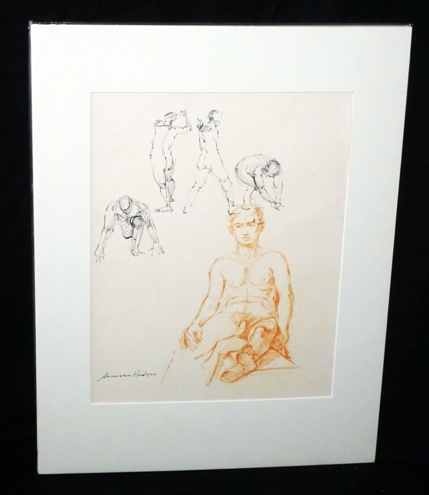 Hawaii Pen & Ink Drawing Painting Male Nude by Snowden Hodges (Sho)