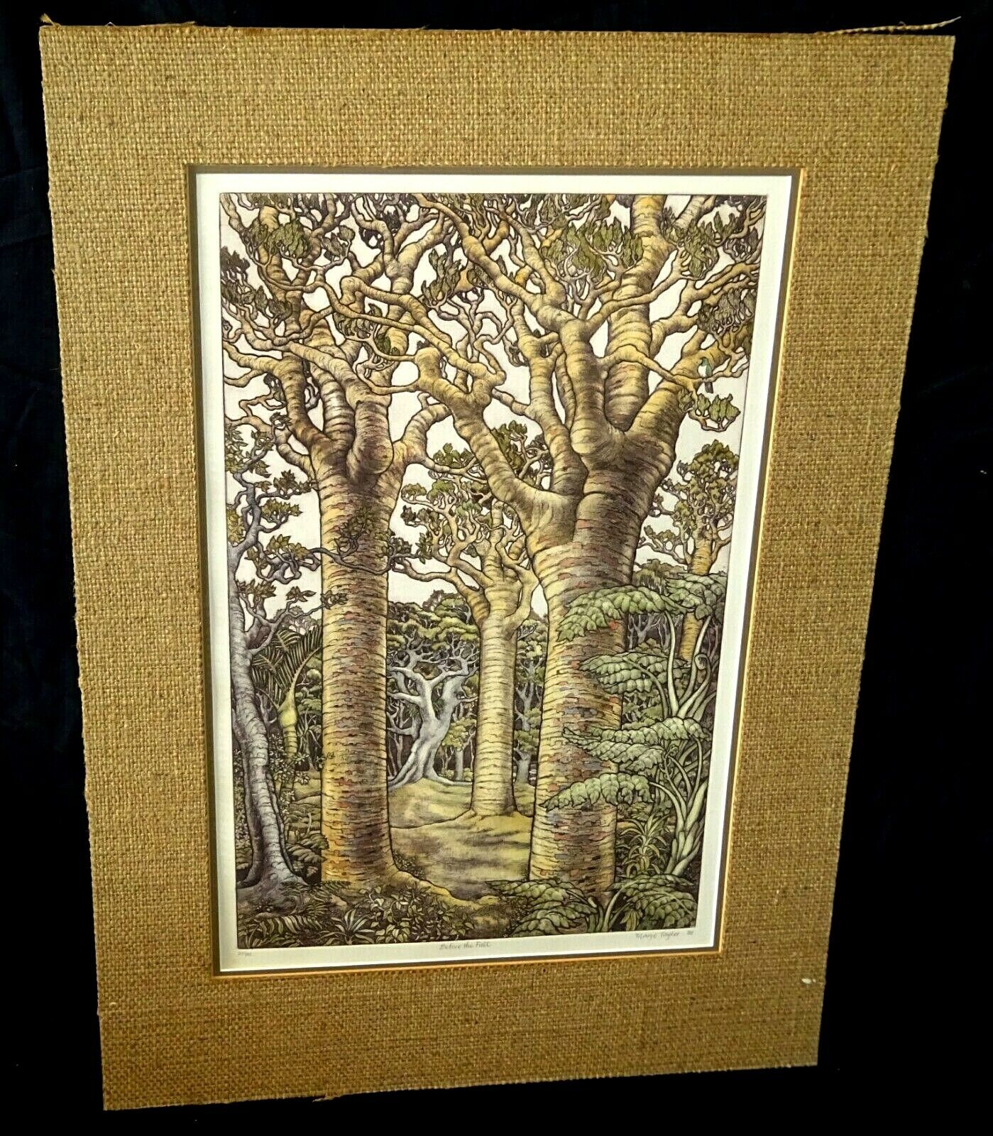 1988 New Zealand Etching Print "Before the Fall" by Mary E. Taylor (b.1948)(ScD)