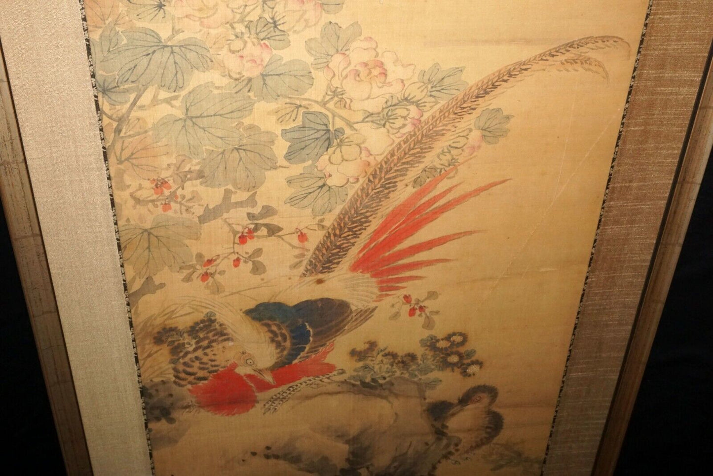 1800 Chinese Framed Painting Scroll Birds on Flowering Branch by Huan Chi (CWo)