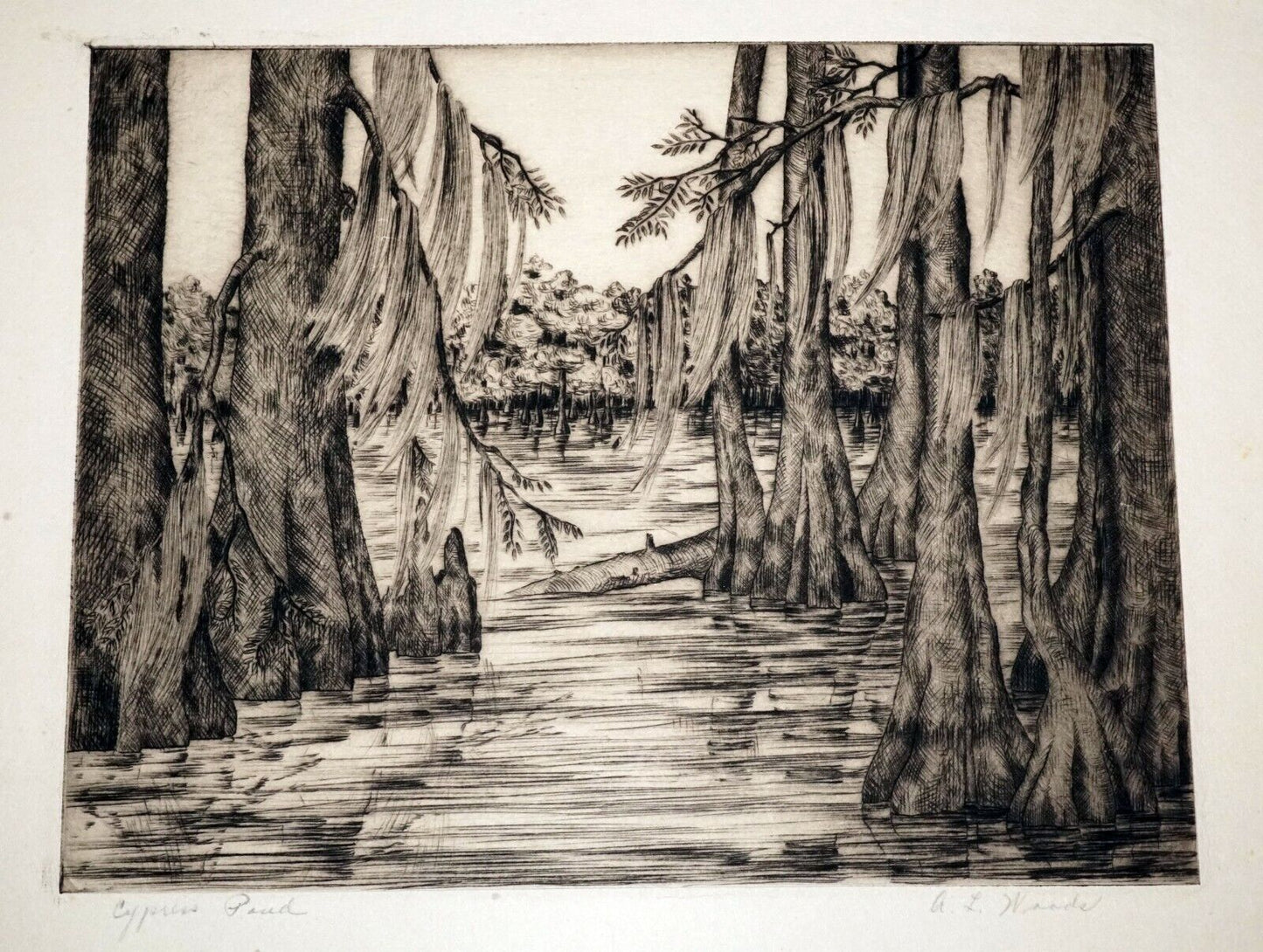 1940s US Florida Etching Print "Cypress Pond" by A.L. Woods (Kel)