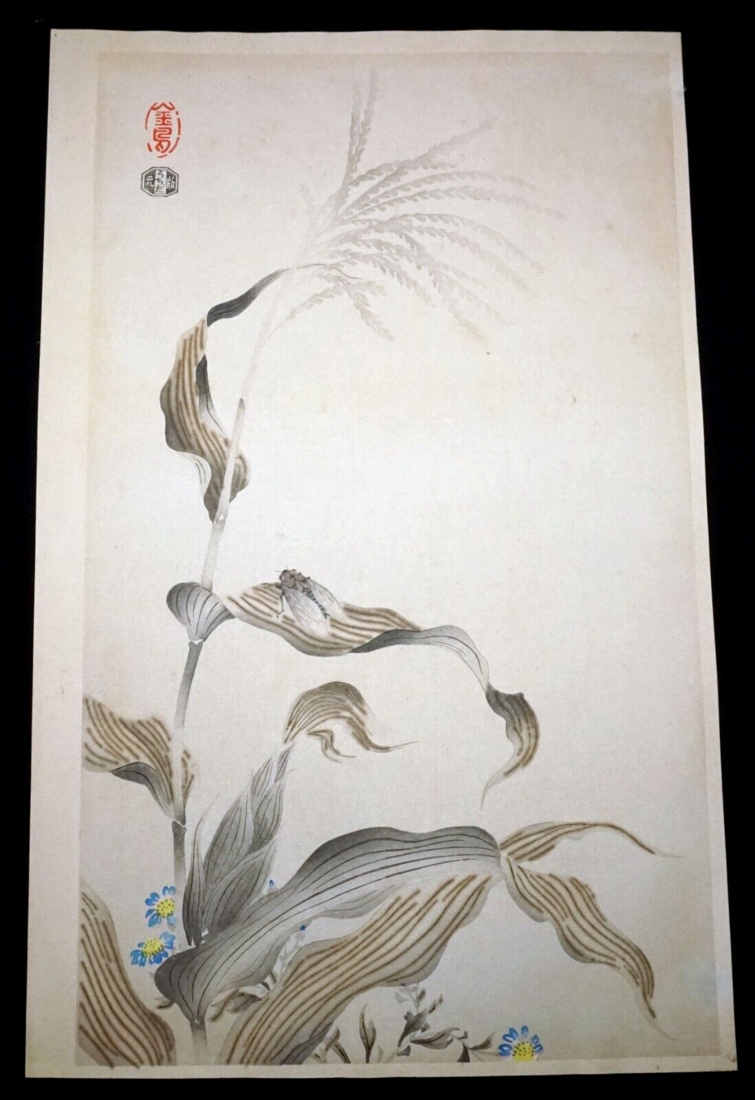 '51 Japanese Woodblock Print JarFly on Corn in Autumn by Kin-u Takeshita (KiL)42