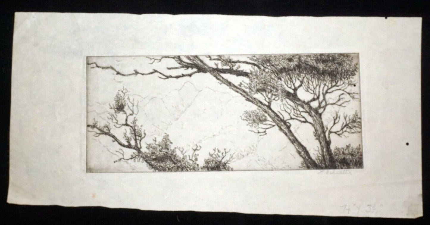 1940s Hawaii California Etching Print Trees & Mountains by L. Schwallie (Kel)