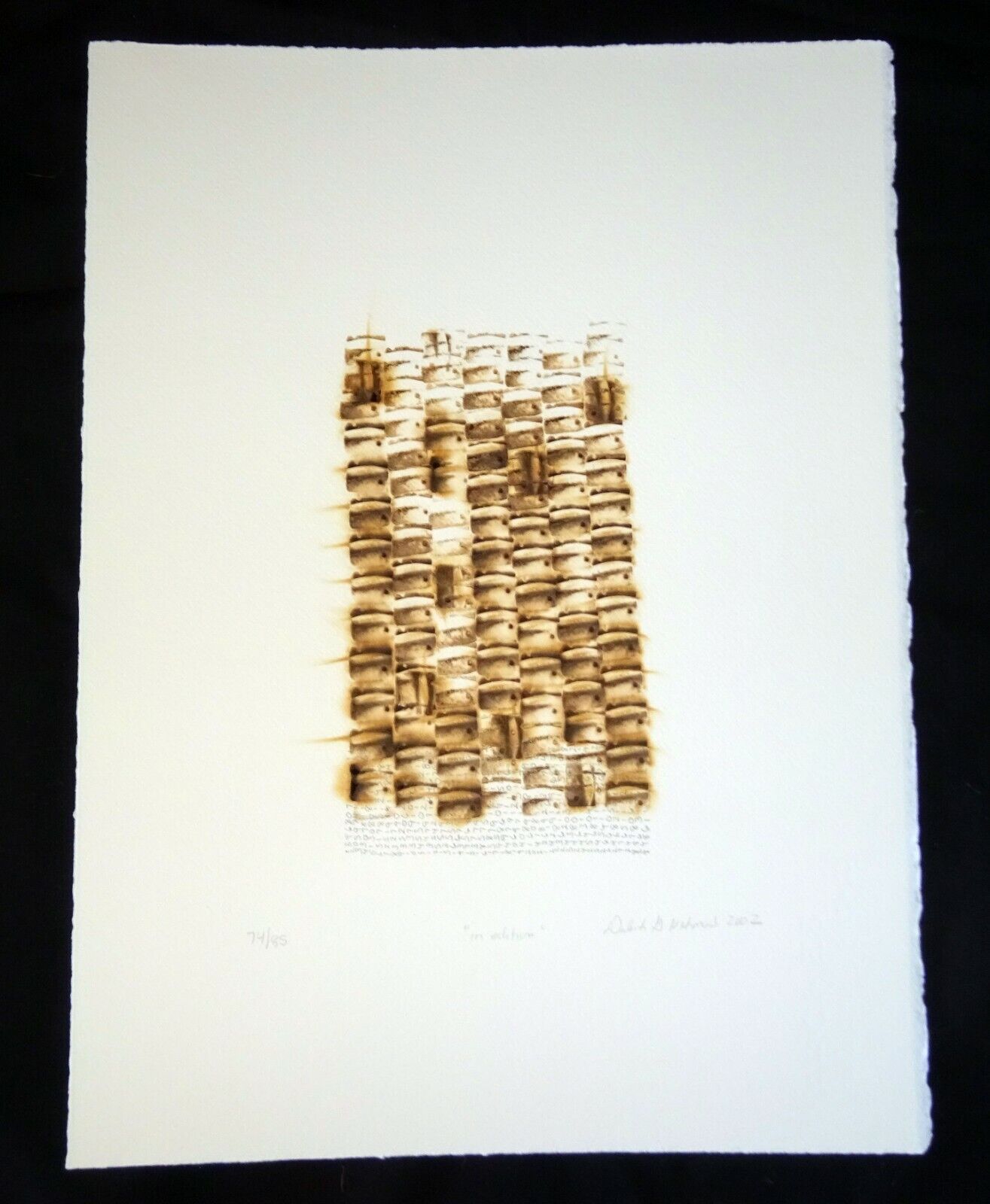 02 Hawaii Pyrography Abstract Print 74/85 by Deborah Gottheil Nehmad (AHB)