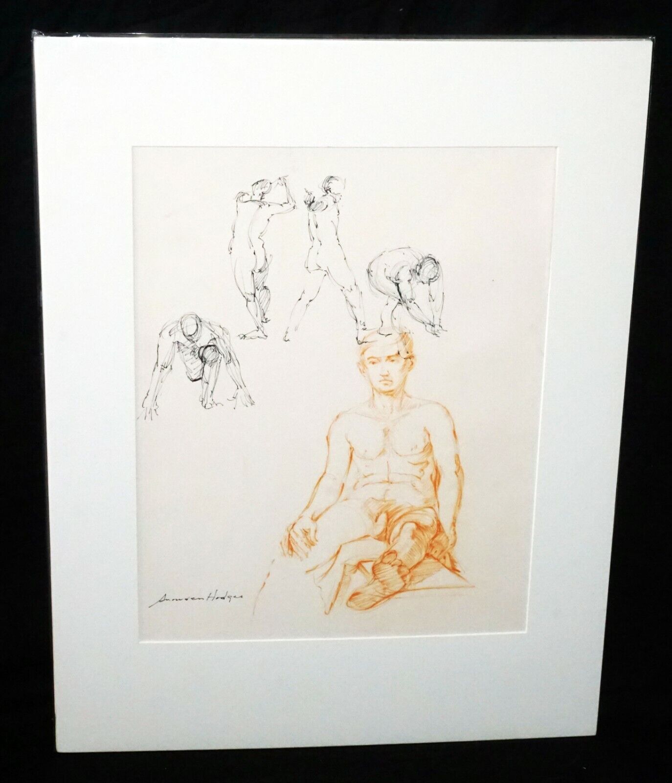 Hawaii Pen & Ink Drawing Painting Male Nude by Snowden Hodges (Sho)