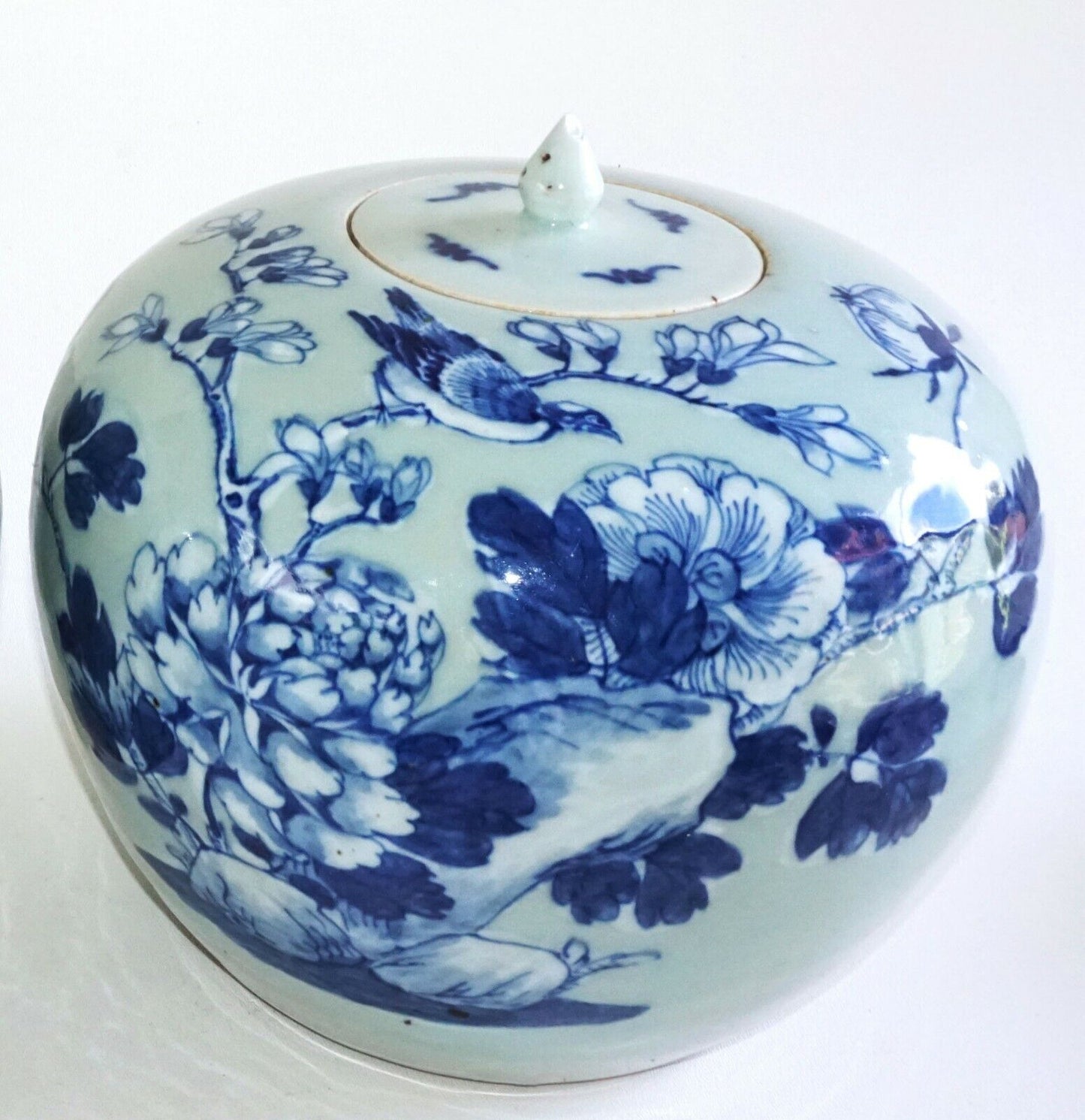 1900 Chinese Ginger Jar w. Blue & White Birds on Flowering Branches Motif (AHB)