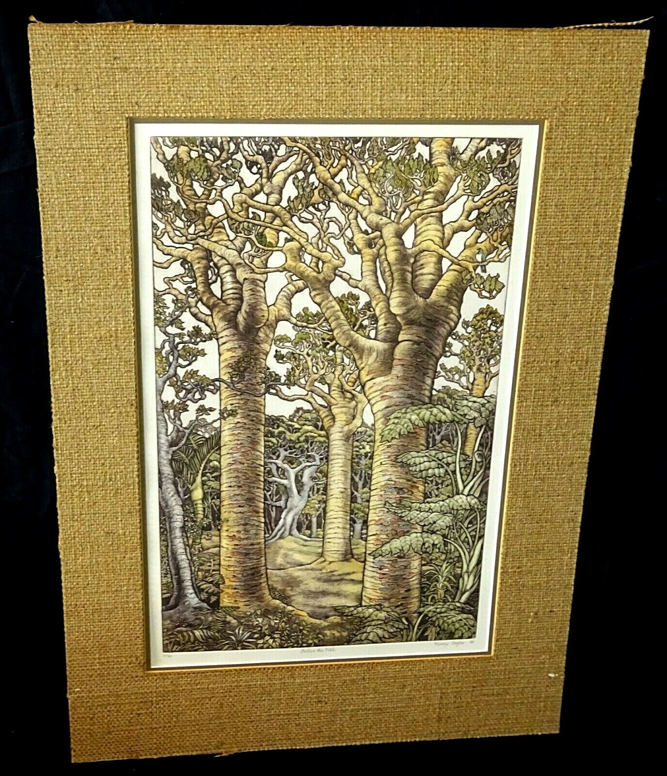 1988 New Zealand Etching Print "Before the Fall" by Mary E. Taylor (b.1948)(ScD)