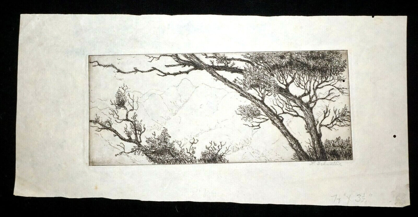 1940s Hawaii California Etching Print Trees & Mountains by L. Schwallie (Kel)