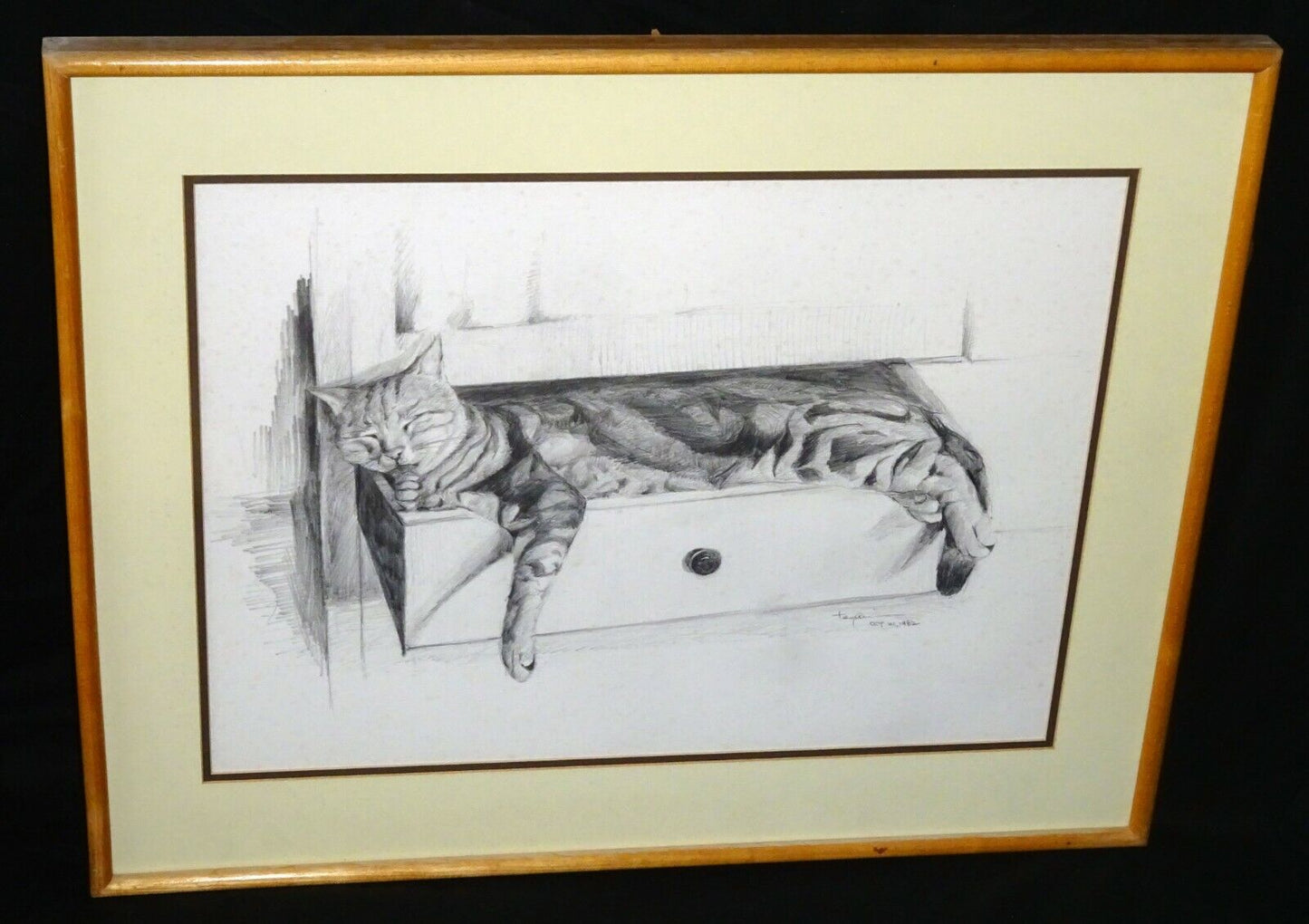 1982 Hawaii Pencil Drawing Kitty Cat in a Drawer Hiroshi Tagami (1929-2014)(ZiK)